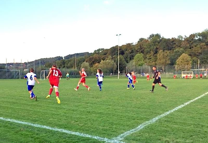 Soccer field with players in red and blue uniforms, white lines, goalposts, trees, and a fence in the background.
