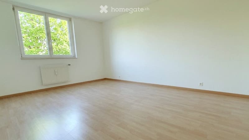 Empty room with light wooden flooring, white walls, and a window with white frame. A radiator is mounted on the wall below the window.