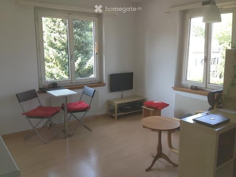 A small, furnished room with wooden flooring, large windows, a small table with chairs, a TV on a stand, and a laptop on a counter.
