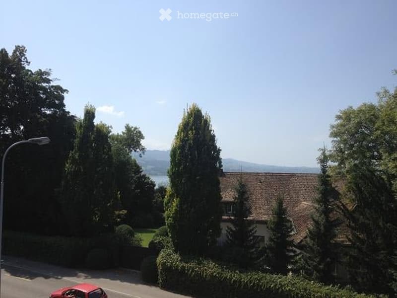 A peaceful garden area with tall, well-maintained coniferous trees, a neatly trimmed hedge, and a red car parked on the street. The background features a house with a tiled roof and a scenic view of mountains and a lake beyond the trees.