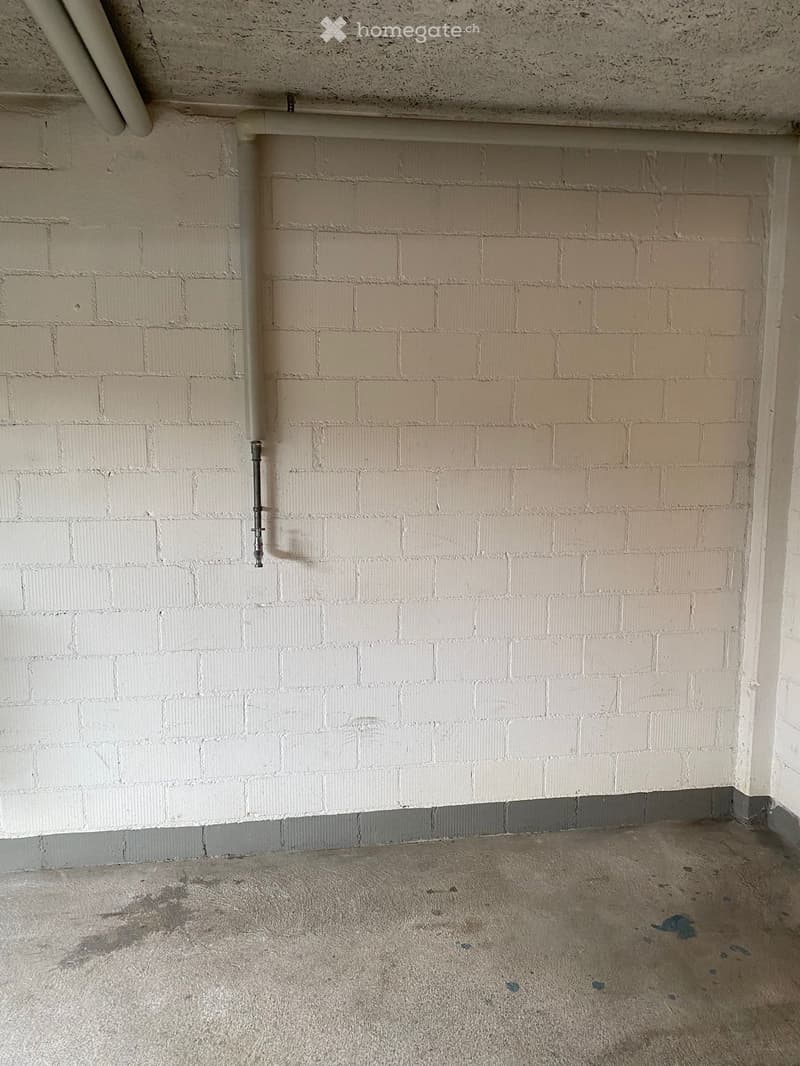 Empty room with exposed brick walls and a concrete floor, showing some blue stains. No furniture or equipment present.