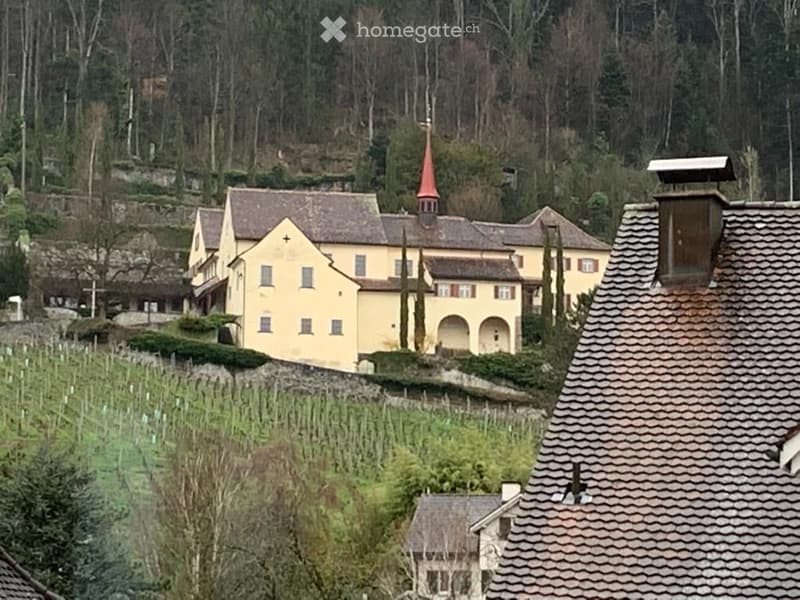 A large yellow building with a red spire, surrounded by trees and a vineyard, with a stone wall and a sloped roof visible in the foreground.