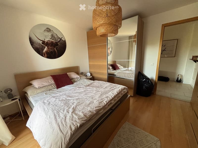 Modern bedroom with a large bed, nightstand, mirror, wicker pendant light, and a decorative picture of a bull on the wall.