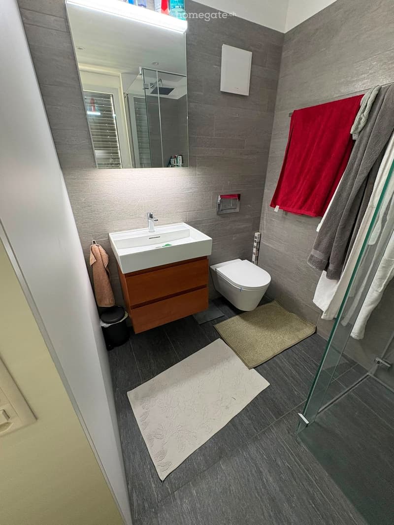 Modern bathroom with grey tiles, a white sink, a toilet, a large mirror, and two towels hanging on a rack. The floor has two bath mats, and a glass shower enclosure is visible.