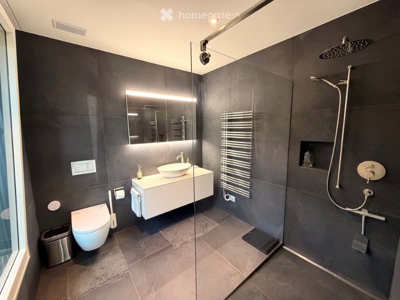 Modern bathroom with dark grey tiles, a white sink, a toilet, a shower area with a glass enclosure, a towel radiator, and a large mirror with integrated lighting.