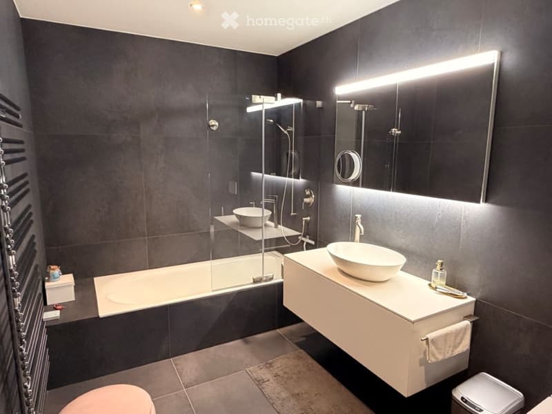 Modern bathroom with dark tiled walls, a bathtub, a sink with a mirror, and a toilet. Features include a built-in shelf with a bowl, a towel rack, and a trash bin.