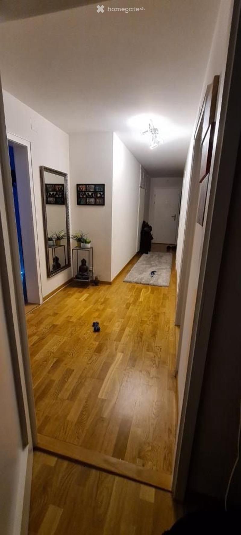 A long, narrow hallway with wooden flooring, white walls, and a ceiling light fixture. There is a small rug and a few decorative items visible along the walls.