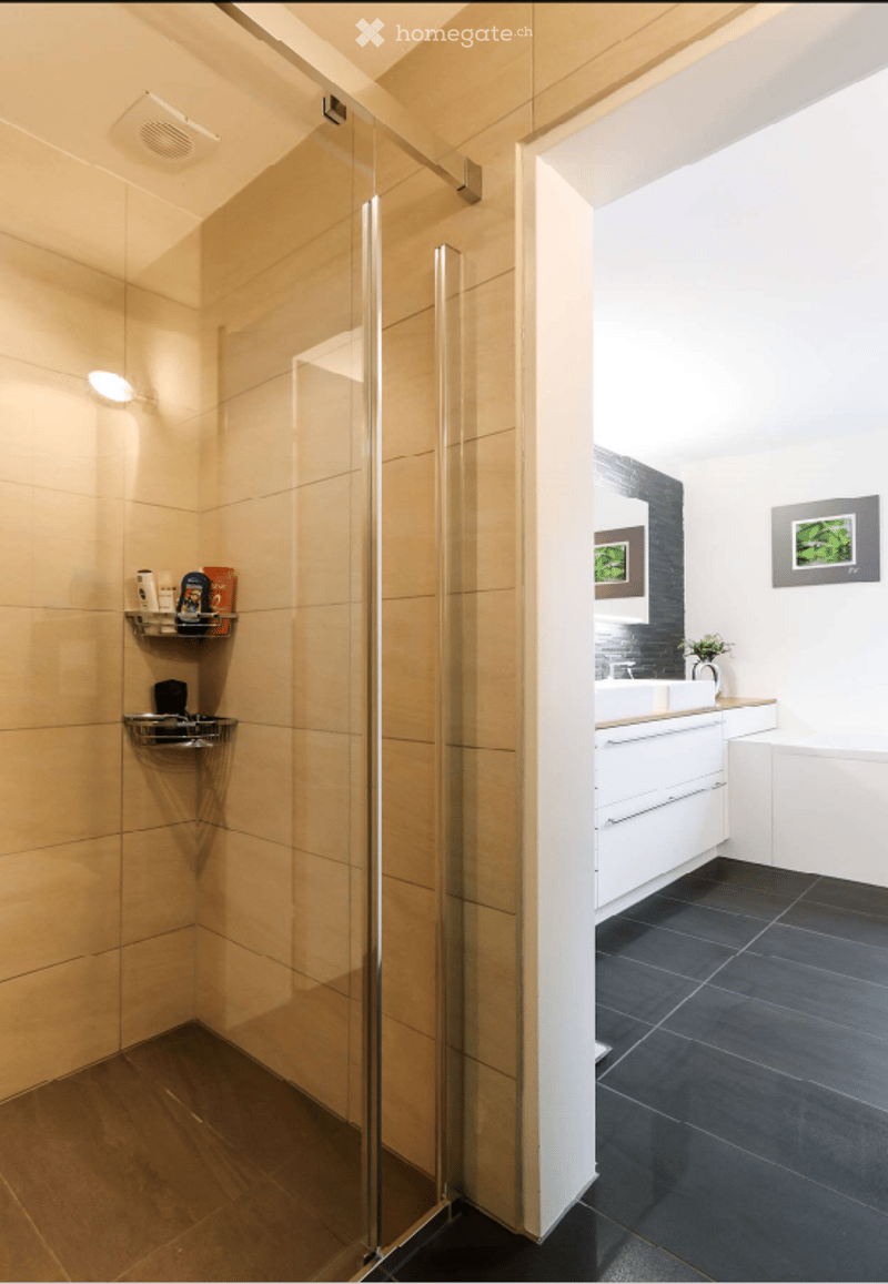 Glass shower enclosure, tiled floor, vanity with sink, storage shelves, illuminated mirror, small plant, picture frames on wall