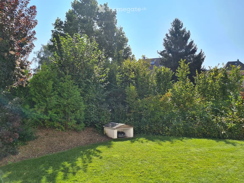 Well-maintained grassy area with hedges, small dog house in center, sunlit, no visible features like balcony, terrace, etc.