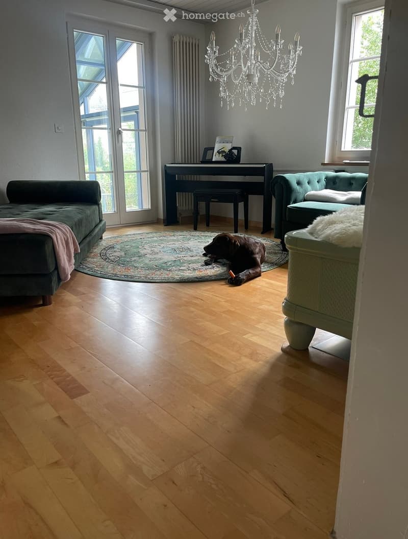 Living room with wooden flooring, a green sofa, a piano, a chandelier, and a dog resting on a patterned rug.
