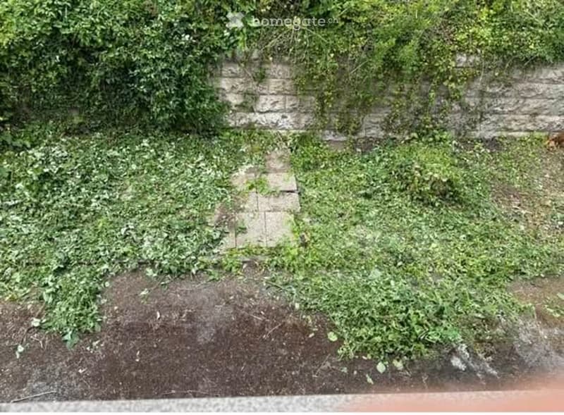 Overgrown garden area with stone wall, weeds, and a small paved pathway.