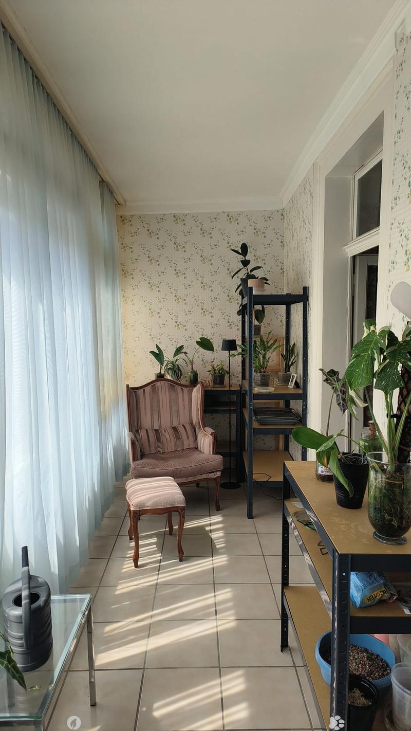 A cozy, well-lit room with a pink sofa, matching stool, glass coffee table, and several potted plants on shelves and tables.