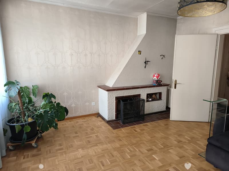 Living room with wooden parquet flooring, fireplace, potted plant, and a small shelf with books and a ball.