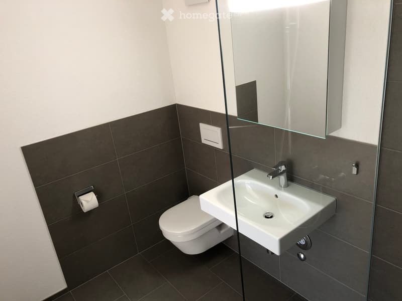 Modern bathroom with dark tiled walls, white toilet, white sink with chrome faucet, and a glass-enclosed shower area.