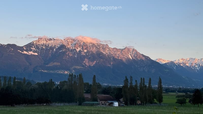 A serene outdoor scene featuring a lush green field in the foreground, bordered by tall trees, with a small house and barn visible. In the background, majestic snow-capped mountains rise under a clear blue sky.