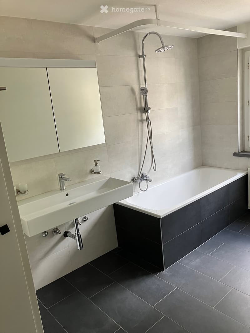 Modern bathroom with a bathtub, sink, and showerhead. Features include a large mirror, sleek cabinetry, and dark tiled flooring.