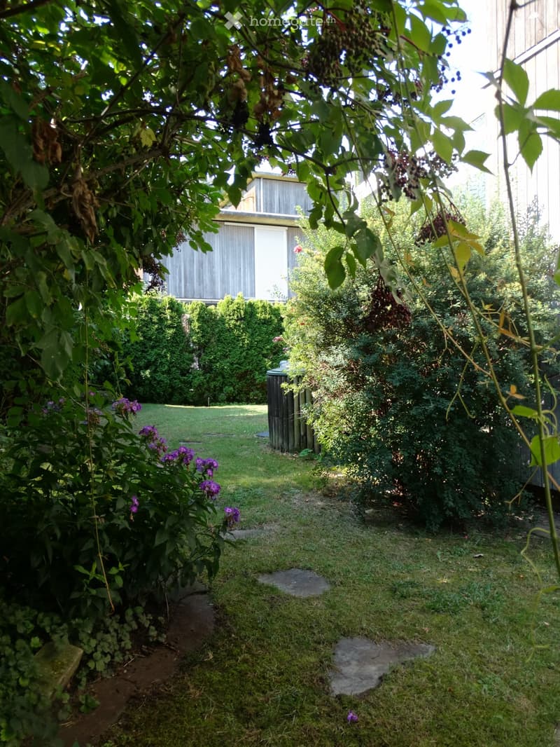 A lush garden with a pathway leading to a wooden shed, surrounded by various plants and flowers, including purple blooms and green shrubs.