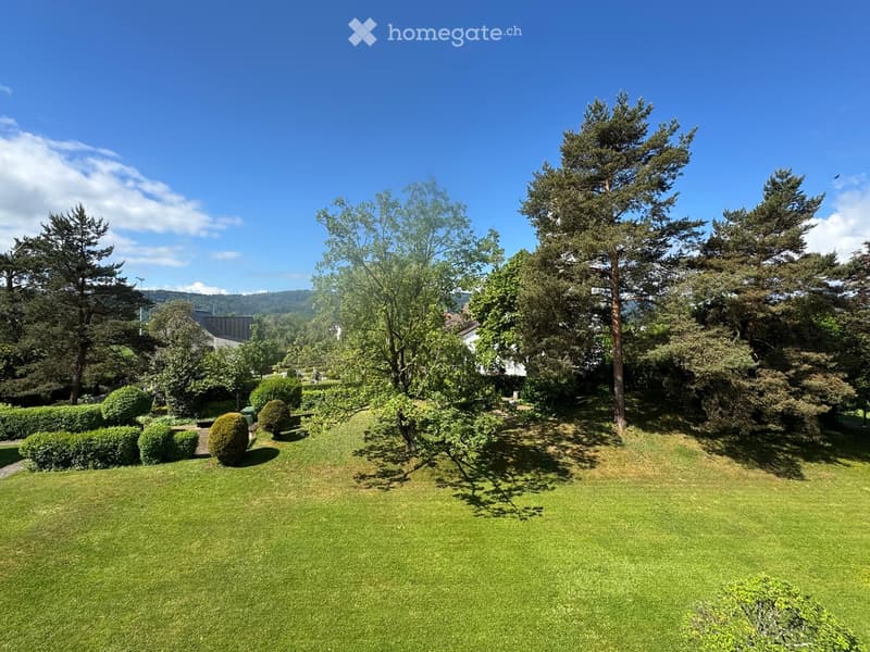 Well-maintained garden with a lush green lawn, trimmed hedges, and tall trees, including conifers and deciduous trees, under a clear blue sky.