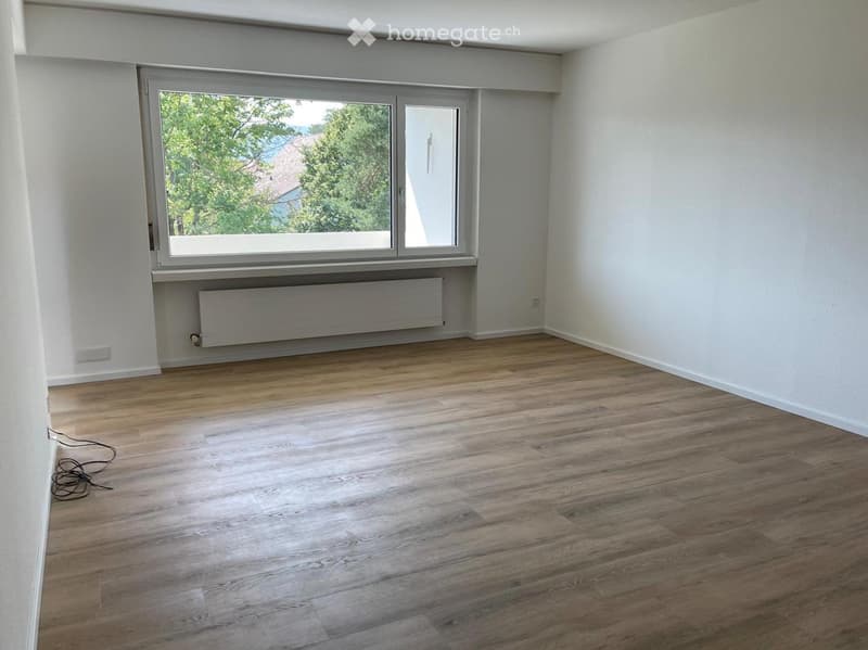 Empty room with light wooden flooring, white walls, large window with view of greenery, radiator below window, and electrical outlet on wall.