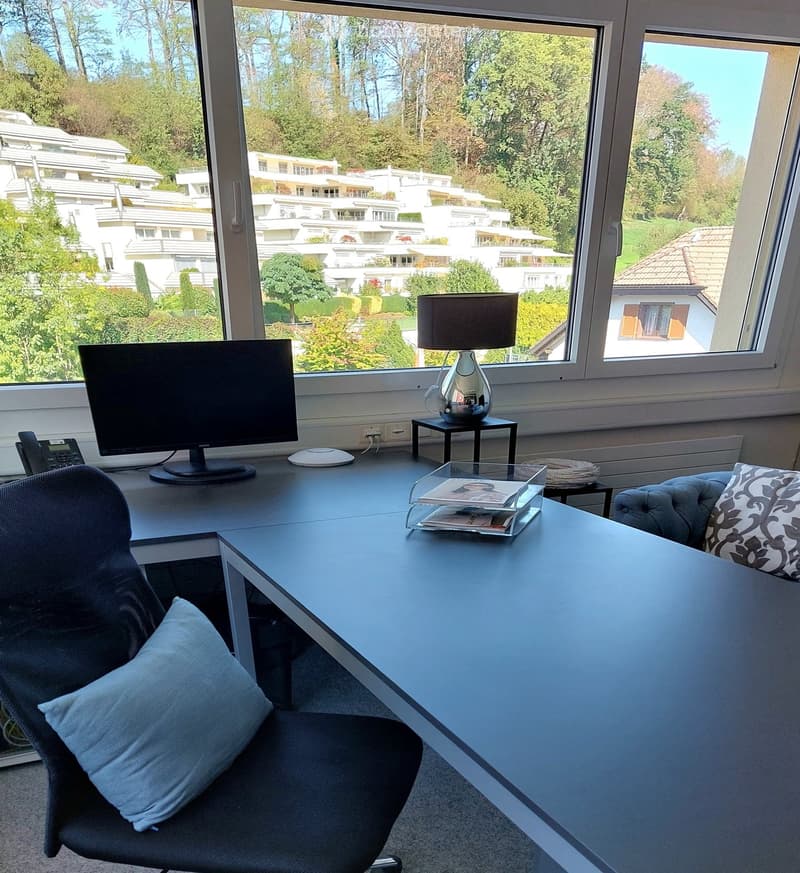 Modern office space with a large desk, ergonomic chair, computer screen, telephone, table lamp, magazine rack, and a small sofa with a decorative pillow. Large windows offer a scenic view of the surrounding area.