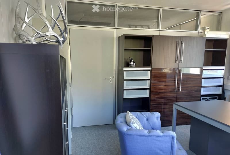 Modern, furnished room with a light blue upholstered chair, a sleek black table, wooden cabinets with glass doors, and a decorative deer head mounted on the wall.