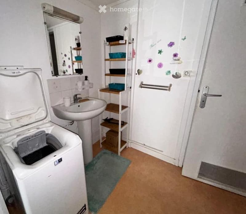 Bathroom with a sink, mirror, washing machine, shelves, and a door.