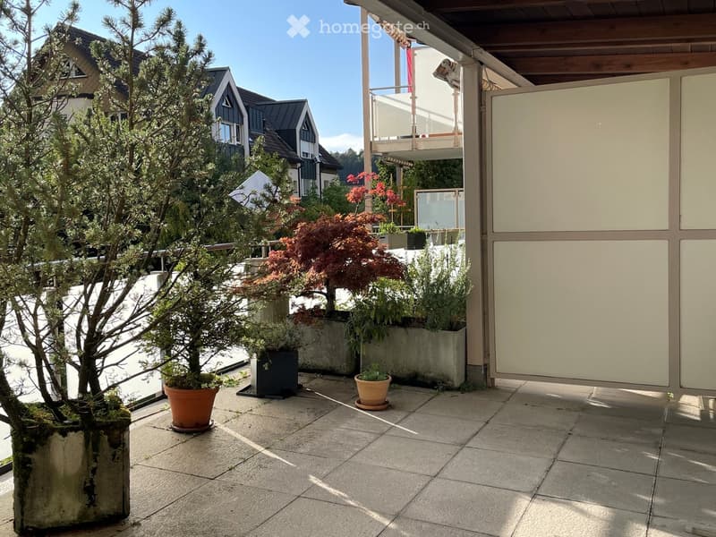 A modern outdoor patio with potted plants, including a bonsai tree, and a covered seating area with a railing. The patio is tiled and has a view of neighboring houses and greenery.