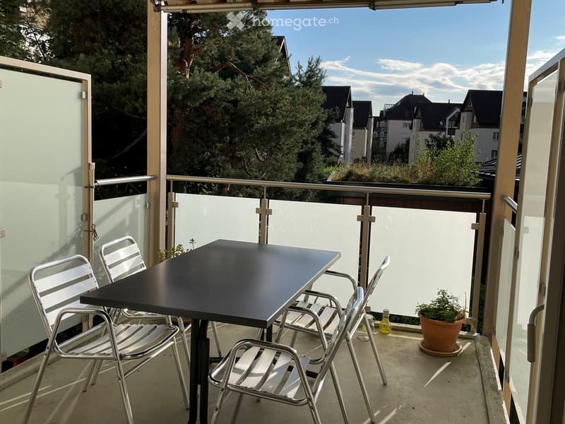 Balcony with a black table, four metal chairs, a potted plant, and a glass railing overlooking a residential area.