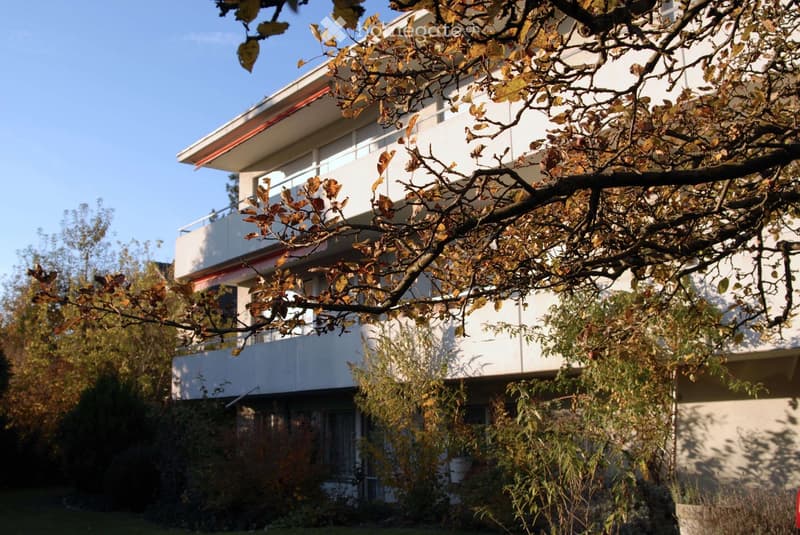 Modern two-story building with white exterior, large windows, and balconies partially obscured by autumn foliage.