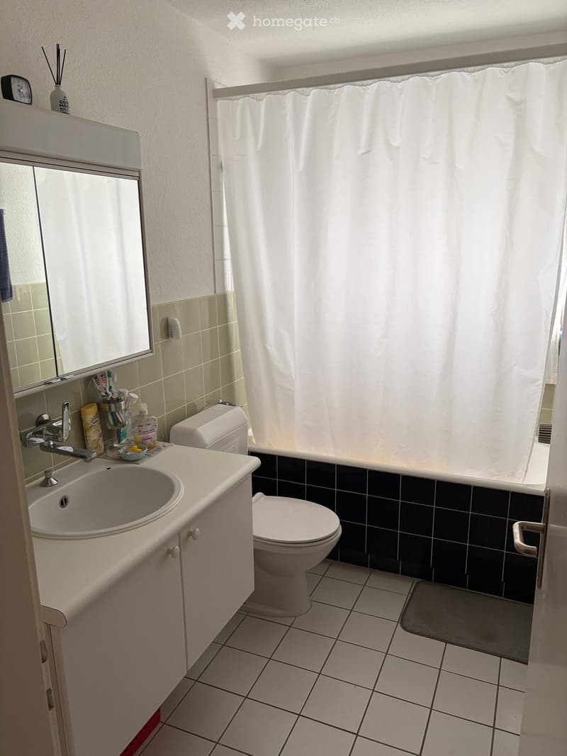 Bathroom with a sink, toilet, mirror, and shower curtain. The sink has a faucet and a toothbrush holder on the counter.