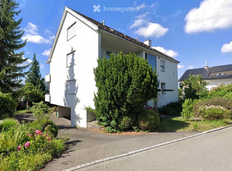 Modern two-story house with white exterior, multiple windows, and a well-maintained garden with trees and shrubs.