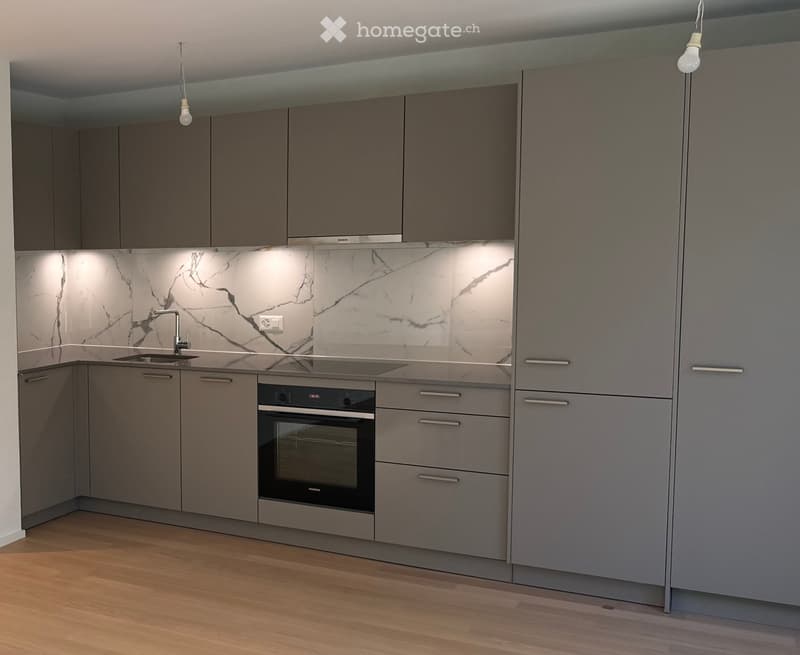 Modern kitchen with grey cabinets, marble backsplash, and wooden flooring. Features a sink, faucet, and built-in oven.