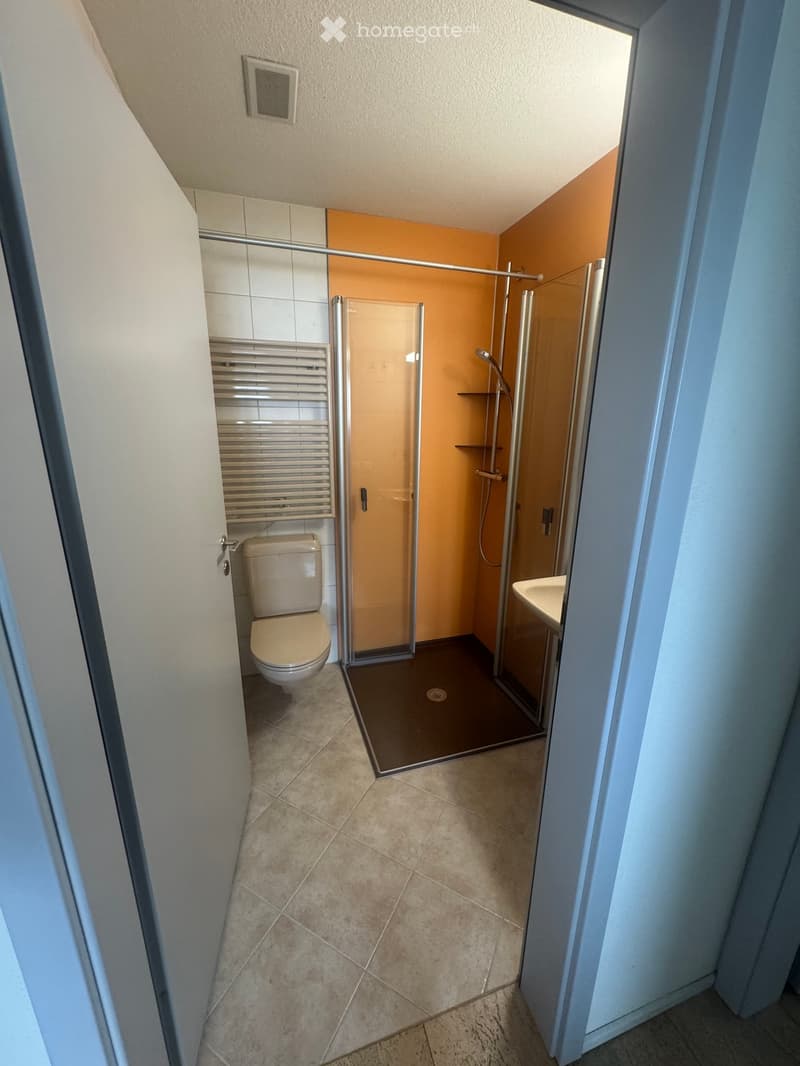 Modern bathroom with a walk-in shower, toilet, sink, and radiator. The shower has a glass enclosure and a built-in shelf. The floor is tiled, and the walls are painted in neutral tones with a warm orange accent in the shower area.