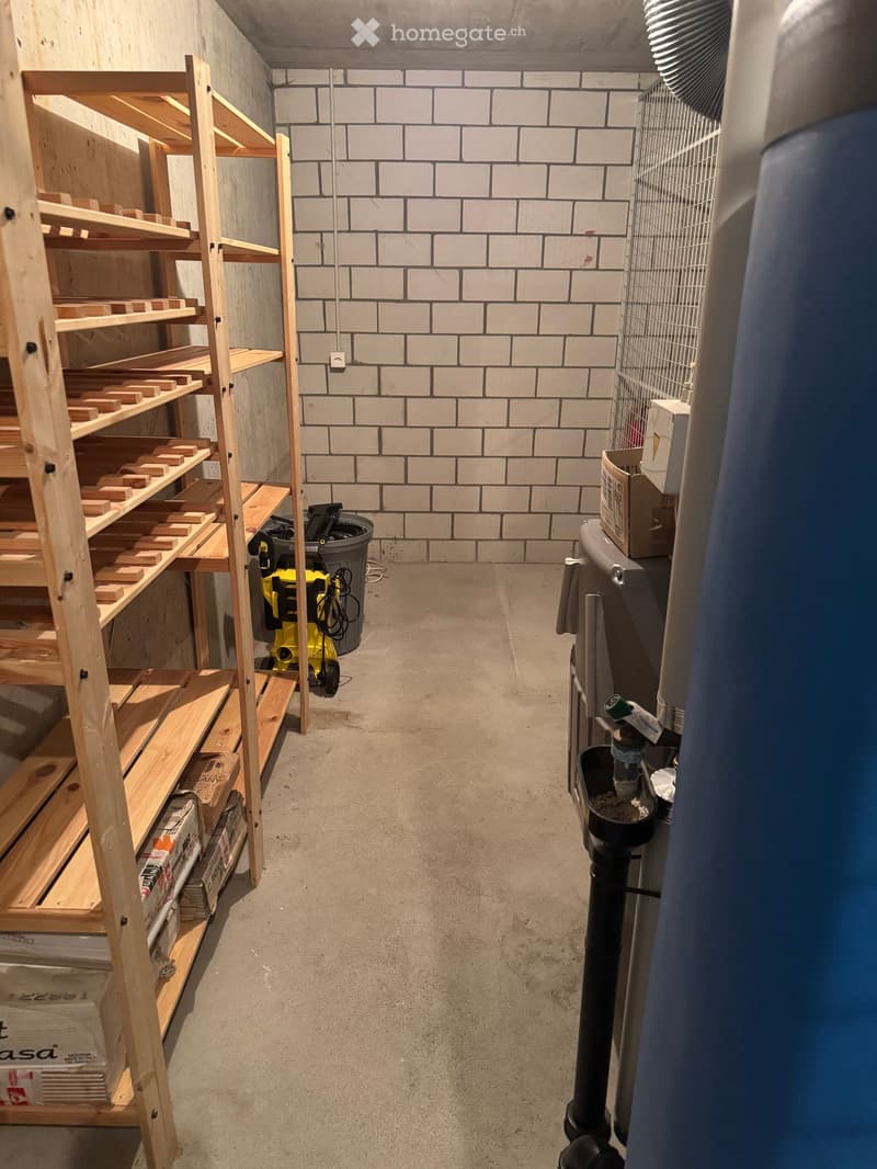 A narrow, unfinished hallway with concrete flooring, exposed brick walls, and wooden shelving units on one side. A vacuum cleaner and a trash bin are visible, along with a fan and some boxes on the right side.
