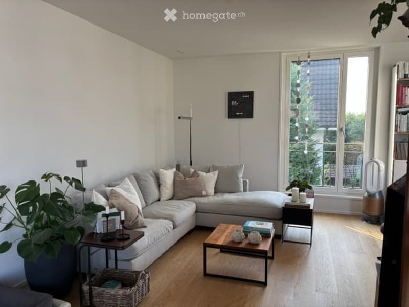 Modern living room with a grey sectional sofa, multiple throw pillows, a wooden coffee table, side tables, a floor lamp, a bookshelf, and a large plant in a pot. The room features light wooden flooring and large windows with white curtains.
