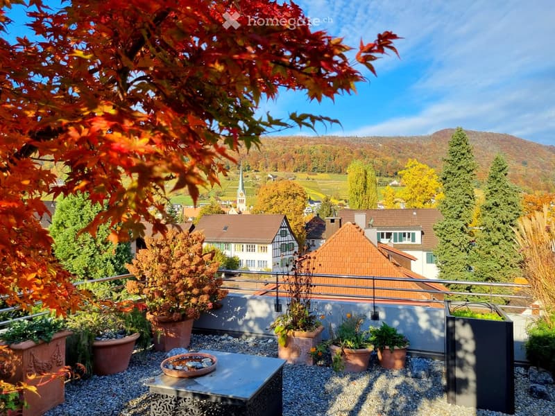A rooftop garden with potted plants, a small table, and a scenic view of a town with vineyards and mountains in the background.