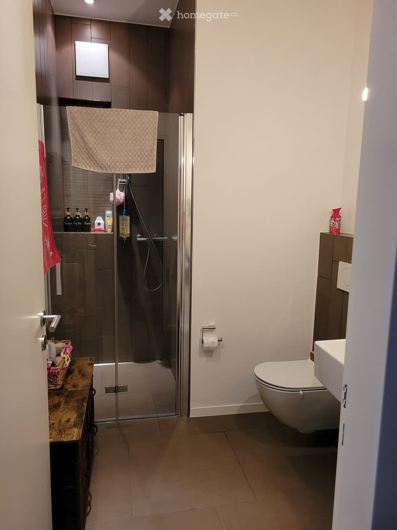 Modern bathroom with a glass-enclosed shower, a toilet, a sink, a towel, a small wooden table with a basket, and several bottles on the shelf.