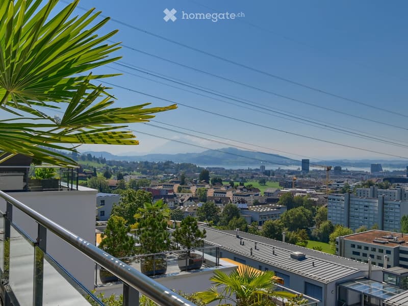 Balcony with a panoramic city view, featuring a metal railing, potted plants, and distant mountains.