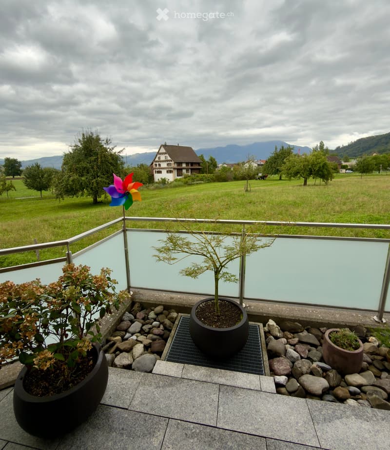 Balcony with a view of a green field and mountains, featuring potted plants and a colorful windmill.