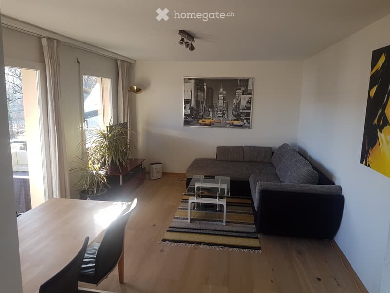 living room with sofa, glass coffee table, armchairs, rug, TV, wooden table, chairs, potted plant, wall art, glass door, windows