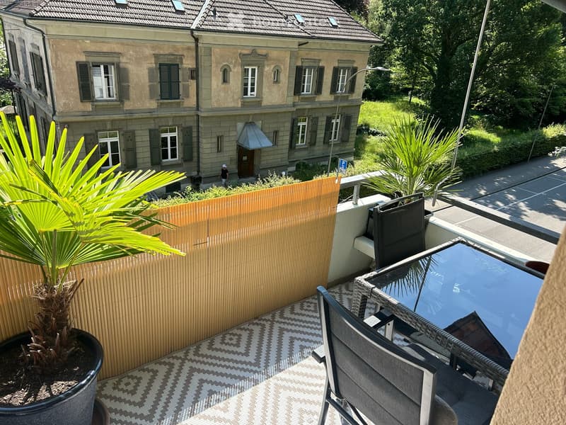Balcony with patio set, large potted plants, wooden fencing, paved flooring