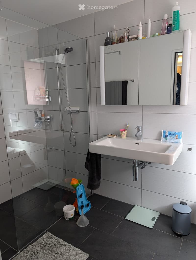 Modern bathroom with a white sink, mirror, and glass shower enclosure. Includes a towel, various toiletries, a scale, and a trash can.