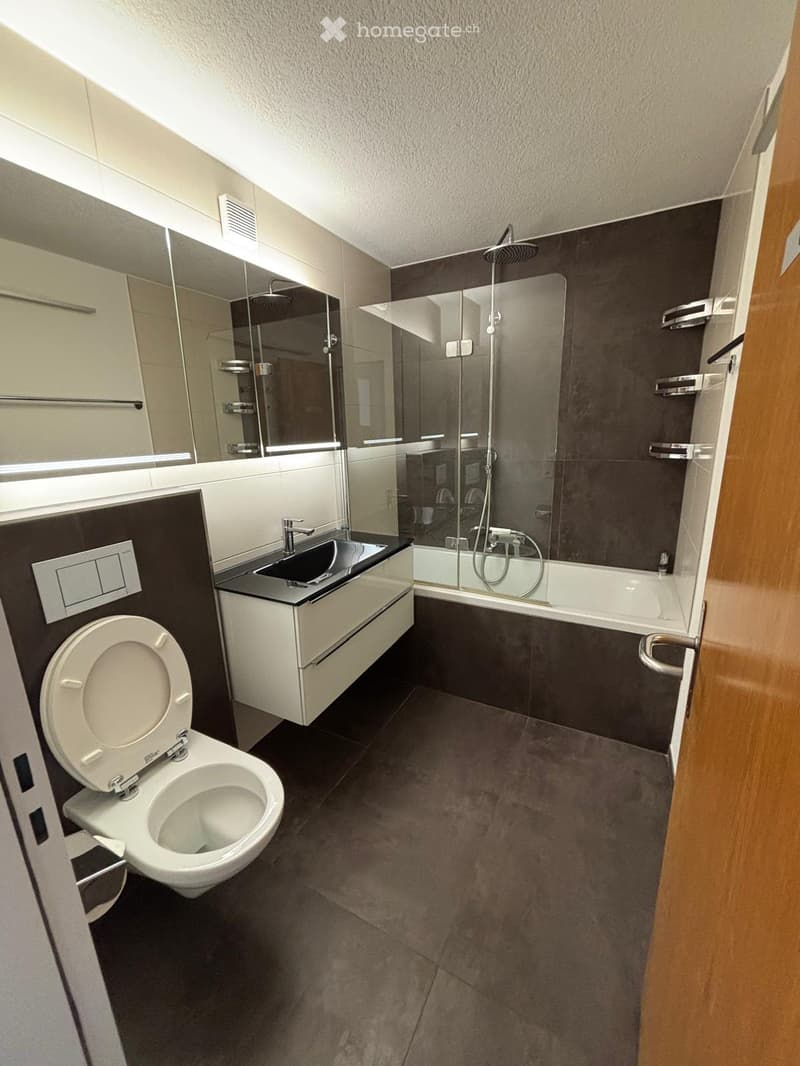 Modern bathroom with dark tiled walls, a white toilet, a sink with a mirror, a bathtub with a glass shower enclosure, and a showerhead.
