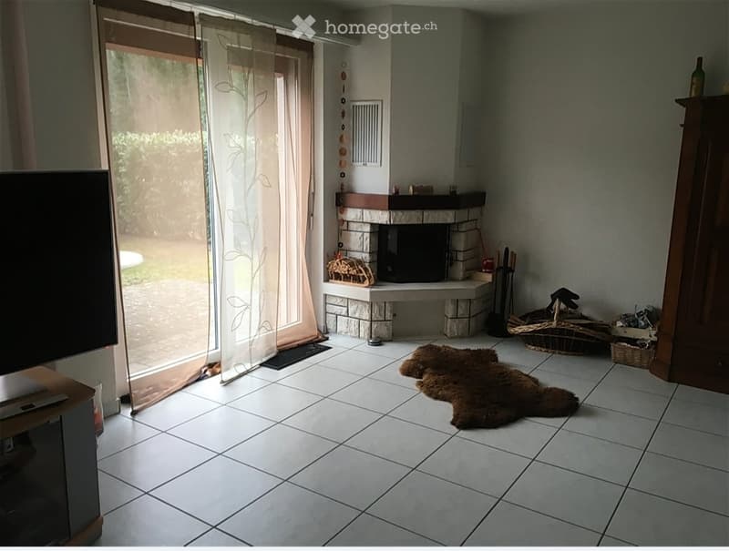 Living room with tiled floor, fireplace, television, and a fur rug on the floor.
