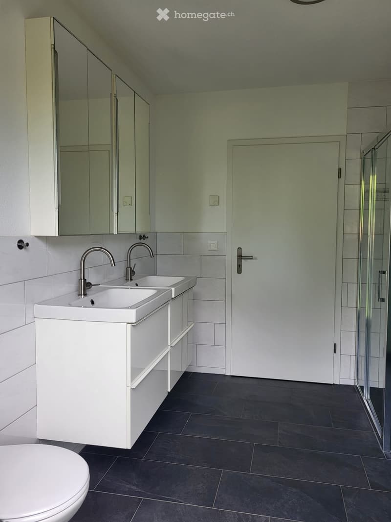 Modern bathroom with white sink, dual faucets, mirrored cabinet, and dark tiled floor.