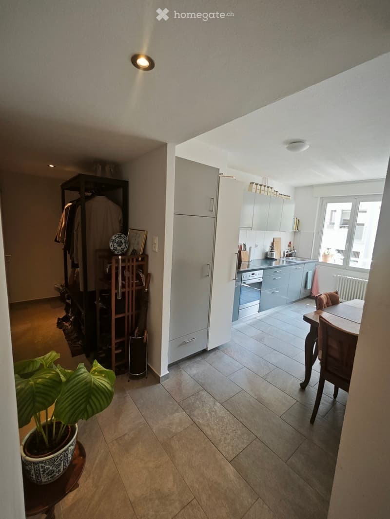 A modern kitchen with grey cabinets, a refrigerator, oven, sink, and a small dining area with a table and chairs. A potted plant is placed near the entrance, and a closet with coats and a picture frame is visible in the adjacent hallway.