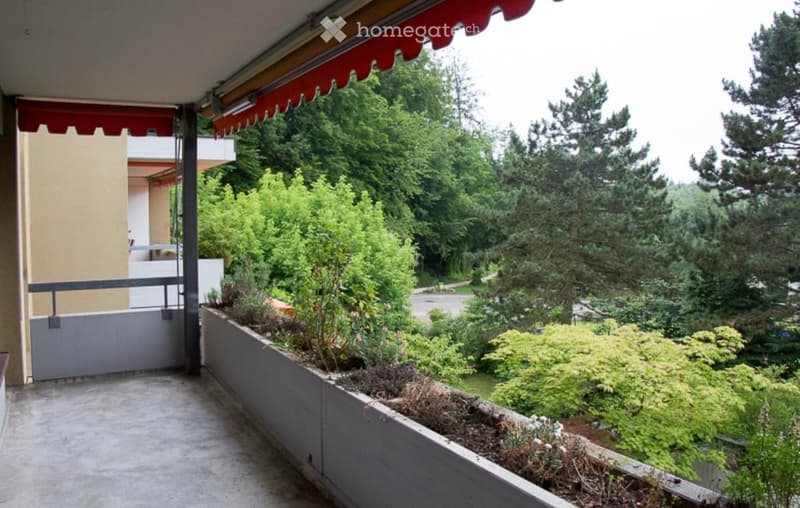 Balcony with a red awning, concrete floor, and a planter box with various plants and shrubs. The background shows a lush green forest.