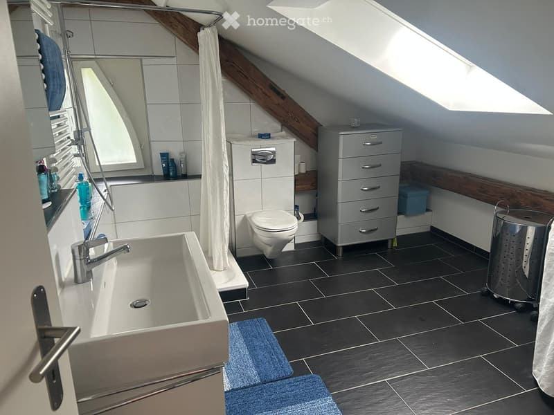 Modern bathroom with a bathtub, toilet, mirror, and cabinet. The room features dark tiled flooring and a skylight window providing natural light.