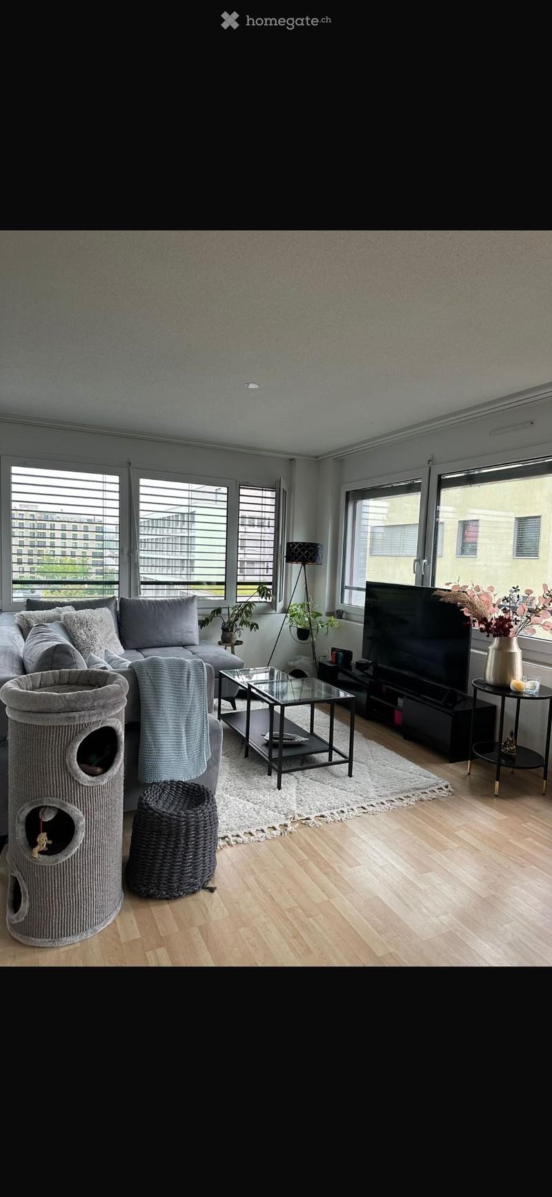 Modern living room with large windows, grey sofa, coffee table, cat tree, television, floor lamp, side table, and decorative vase.