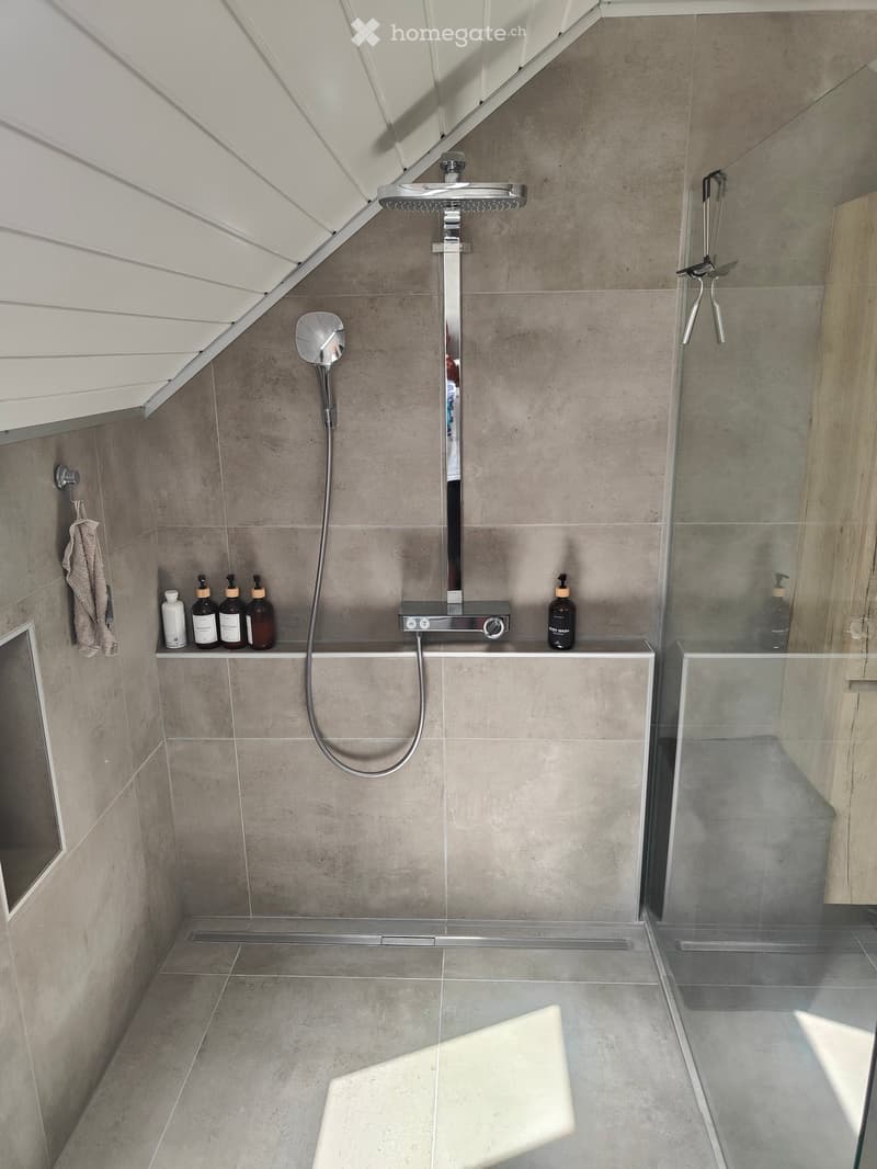 Modern bathroom with a sleek showerhead, glass shower enclosure, and neatly arranged toiletries on a shelf.